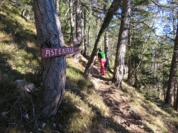 ... und mehr als ausreichend beschildert.