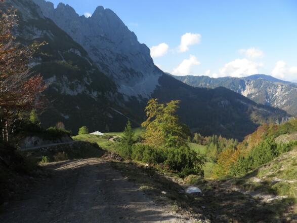 Neuer Almweg oberhalb der Maukalm