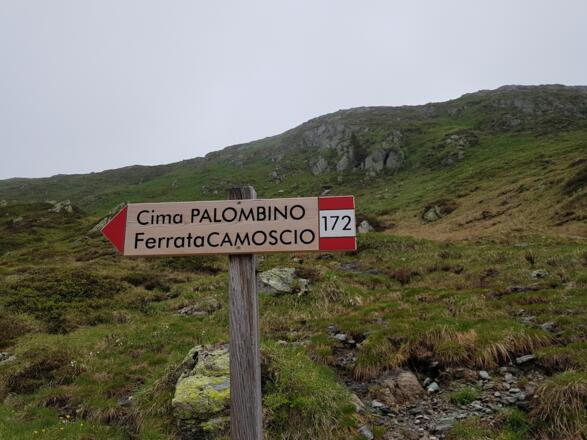 Abzweigung Richtung Porze