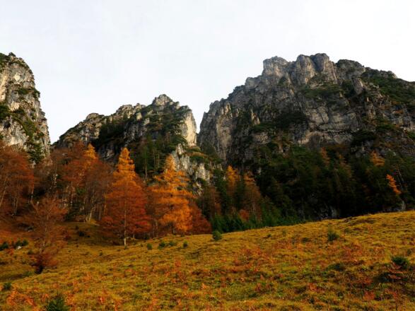 Kampermauer von der Pass-Straße