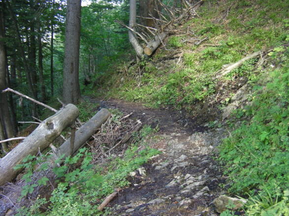 Führstrecke Trämpl