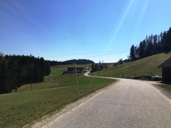 Güterweg Richtung St. Georgen