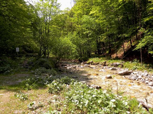 Fortgespült, das Ende einer Forststraße © MiE