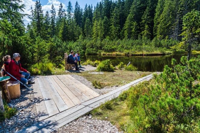 sagenumwobener Moortümpel