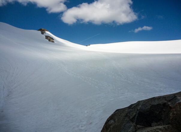 An der Turmscharte angekommen mit Blick auf Berglasferner