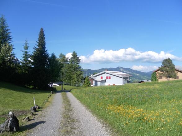 Amagmach in Schetteregg