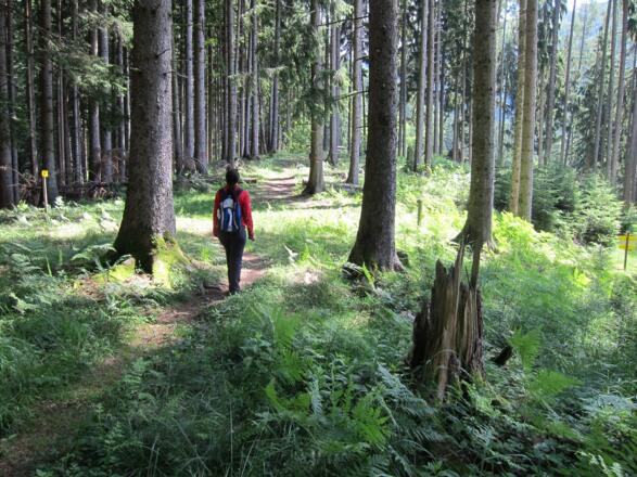 Wandern am Natur-Spuren Weg