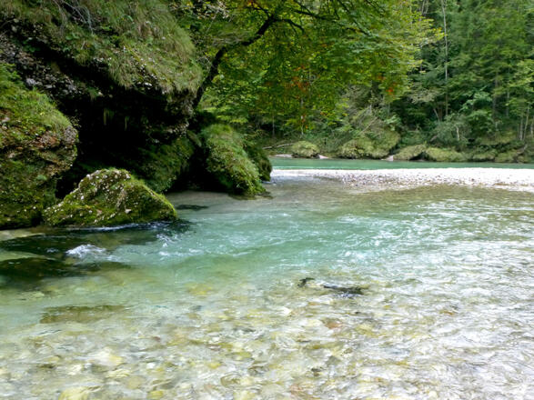 Mündung Krumme Steyrling in die Steyr