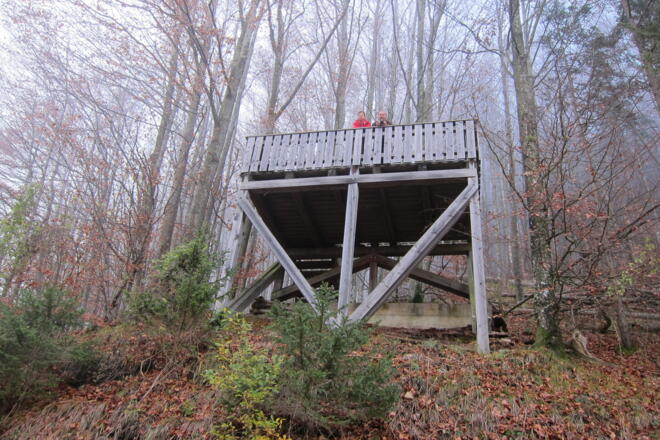 Von der Aussichtsplattform genießt du einen tollen Blick ins Große Weißenbachtal