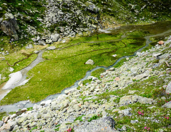 Teich unterhalb der Gletschermoräne
