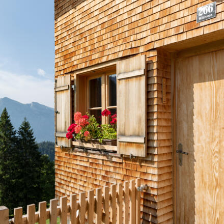 Alpe Greussings Wildmoos