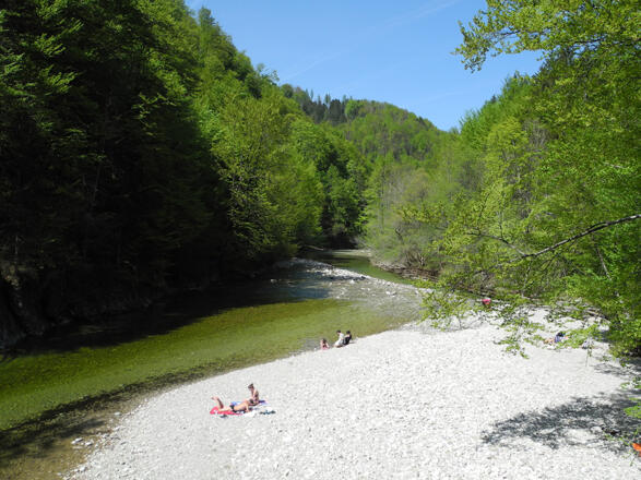Großer Bach, Reichraminger Hintergebirge © Nationalpark Kalkalpen