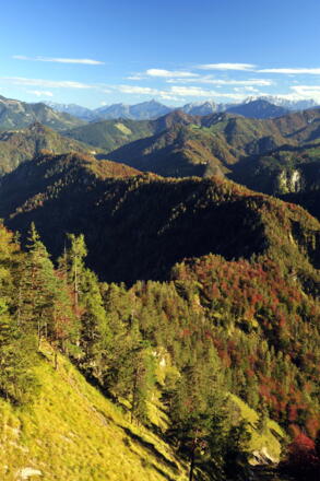 Hintergebirge © Nationalpark Kalkalpen / Franz Sieghartsleitner