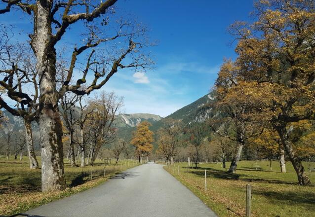 Straße zum Alpengasthof Eng