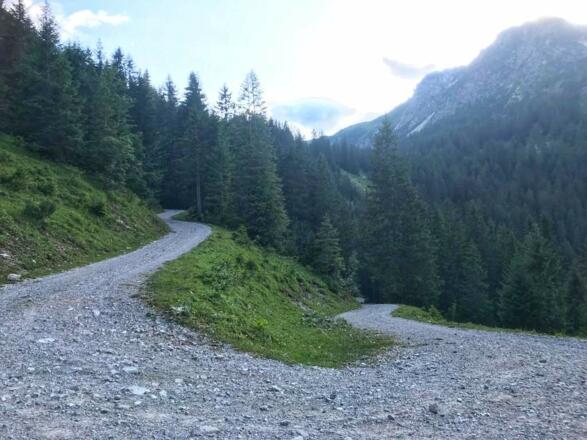 Forstweg zum Älpele