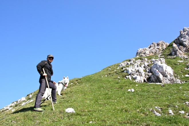 steiles Wiesengelände beim Aufstieg zur Sonntagskarspitze