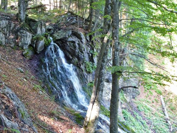 Siebenbrünn am zur Blahbergalm © Mitterhuber