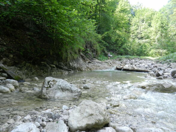 Ganz gemütlich begleitest du am ersten Wegstück den Weißenbach