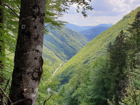 Blick übers Waldmeer im Reichraminger Hintergebirge © MiE