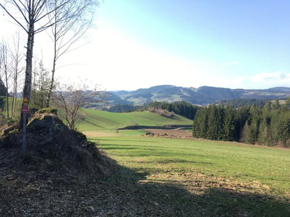 jetzt geht´s runter nach Königswiesen