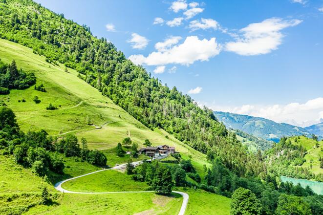 Almwirtschaft Schneckenreith