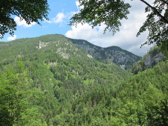 Blick in den Nationalpark Kalkalpen
