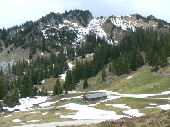 Obere Hölzlalm unter dem Peitingköpfl