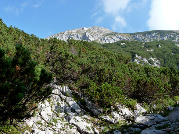 Hoher Nock Aufstieg Süd