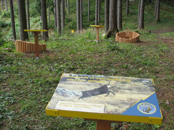 Kannst du einen Zapfen soweit werfen wie eine Gams springt?