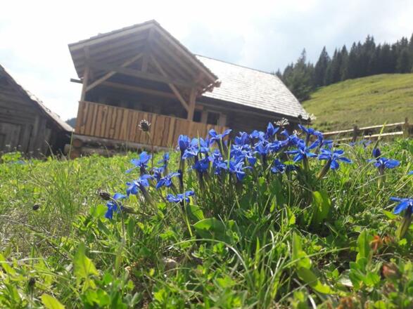 Arzbergalm mit Schusternagerl