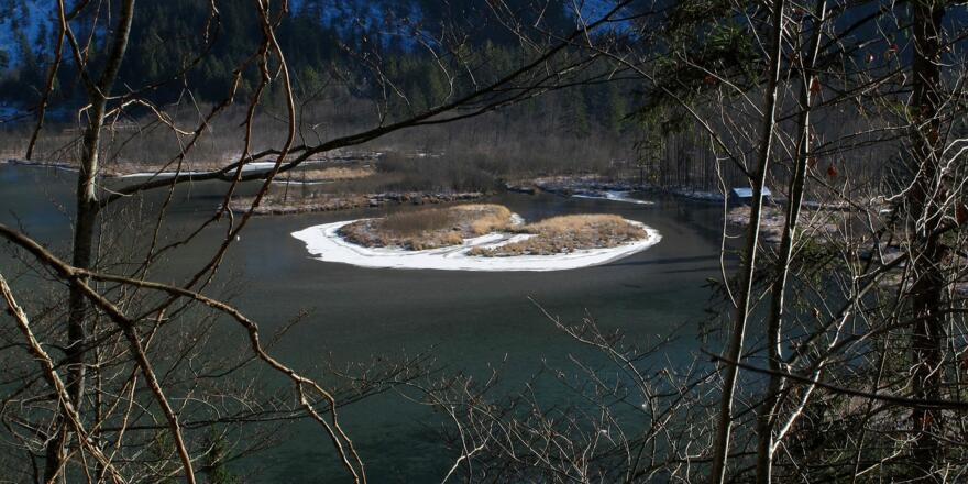 Durchs Gezweig blicken wir auf die Inseln am Ende des Almsees ...