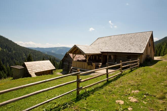 Die urige Arzbergalm