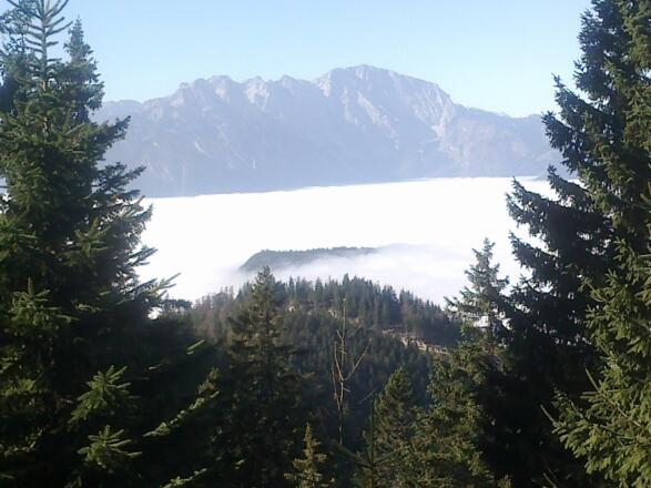 Herbstwanderung auf den Trattberg
