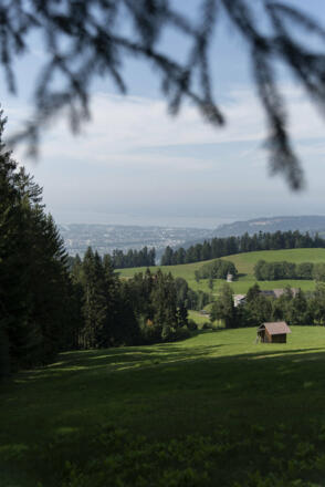 Langwies - Blick Richtung Ammenegg / Bregenz  (c) Martin Vogel / Vorarlberg Tourismus