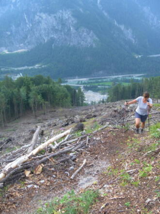 Windwurfschneise oberhalb des Schotterwerks