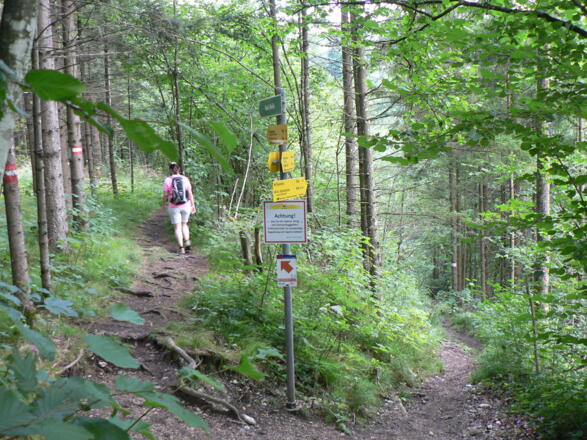 Wir nehmen den linken Weg zurück zum Parkplatz Gradau