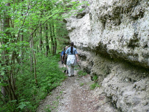 Wege im Naturschutzgebiet Steyrschlucht