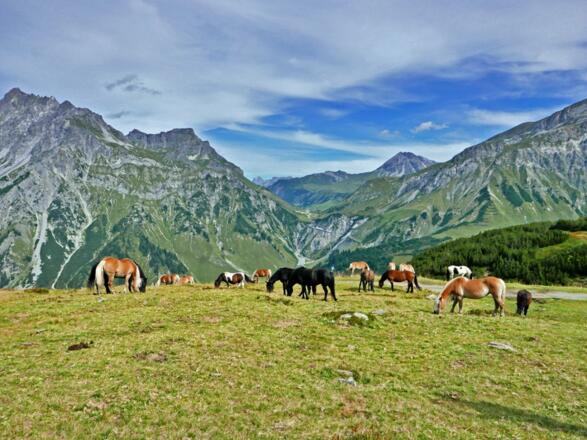 Das Almgebiet der Stubner Alpe