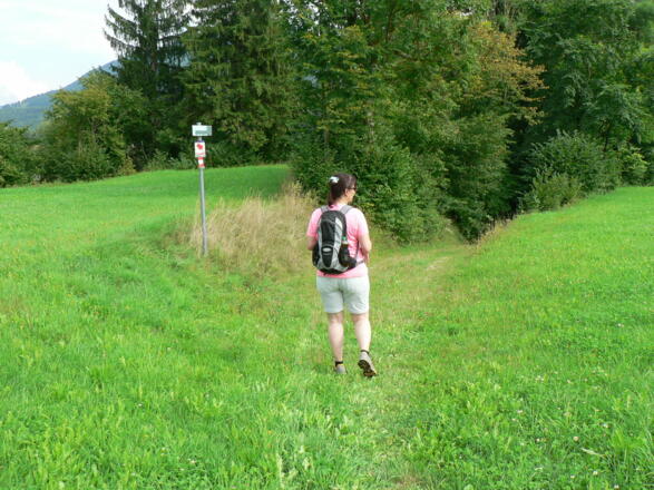 ---führt über die Wiese, dann durch eine kleine Baumgruppe...