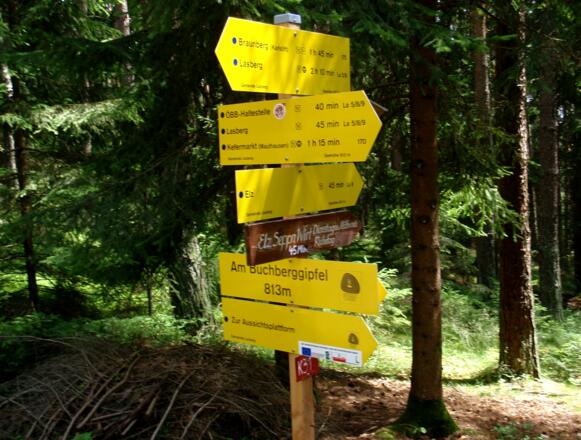 Buchberggipfel 813 m