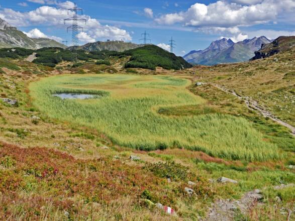 Hochmoor bei den Erzlöchern