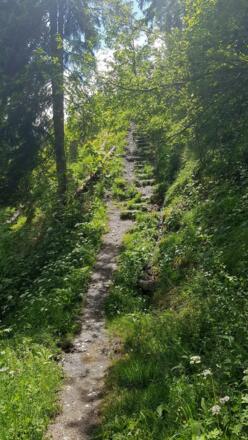 Samstag  3. Juni 2017