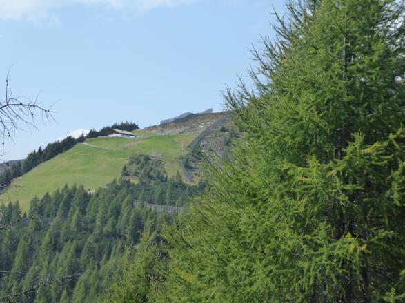 Blick zur Waldner Alm