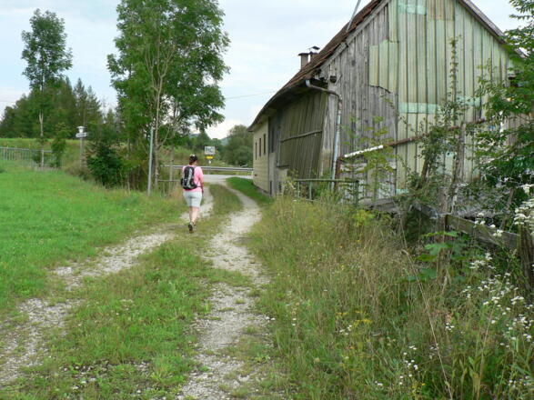 ... und trifft dann wieder auf die Straße