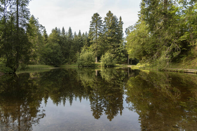 Bödelesee  (c) Martin Vogel / Vorarlberg Tourismus