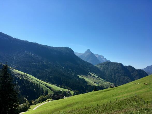 Blick oberhalb vom Pechtl