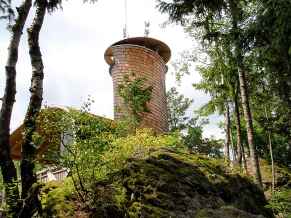 Aussichtsturm ca. 800 m