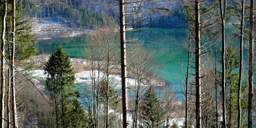 Immer wieder lohnende Ausblicke - egal ob in die Berge oder ins Tal zum smaragdgrünen Almsee