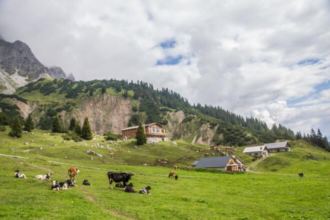 Blick auf Heinrich Hueter Hütte und der Alpe Vilifau