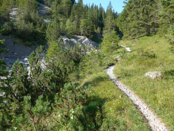 Im hinteren Birkental